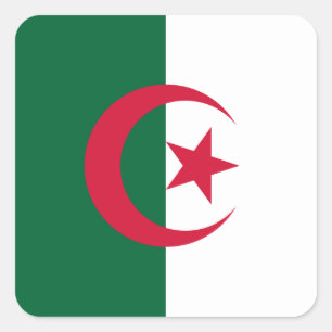 Algeriet (Algeriet), Flagga Fyrkantigt Klistermärke