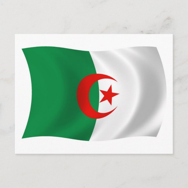 Algeriet Flagga vykort (Framsida)