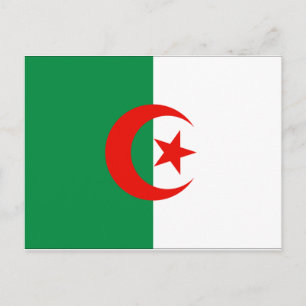 Algeriet Flagga Vykort