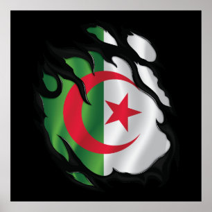 Algeriet Rippad Flagga Poster