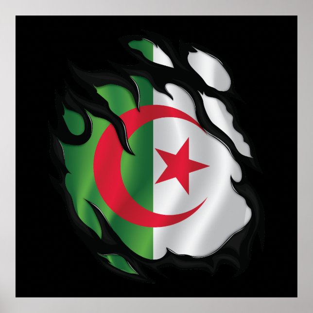 Algeriet Rippad Flagga Poster (Framsidan)