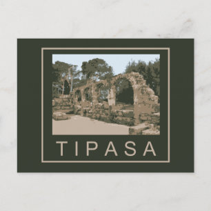 Algeriet Tipasa Vykort