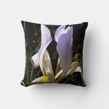 Algerisk iransk hyperrealistisk målning av Wildblo