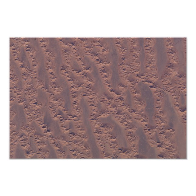 Algerisk öken fototryck (Framsidan)