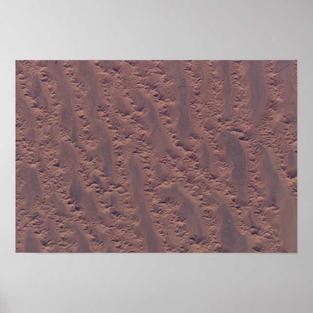 Algerisk öken poster (Framsidan)