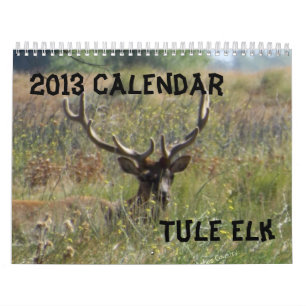 Älgkalender 2013 kalender