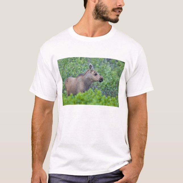 Älgkalv i Many Glacier Valley T-shirt (Framsida)