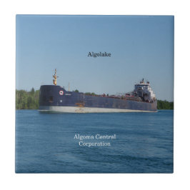 Algolake-bricka Kakelplatta