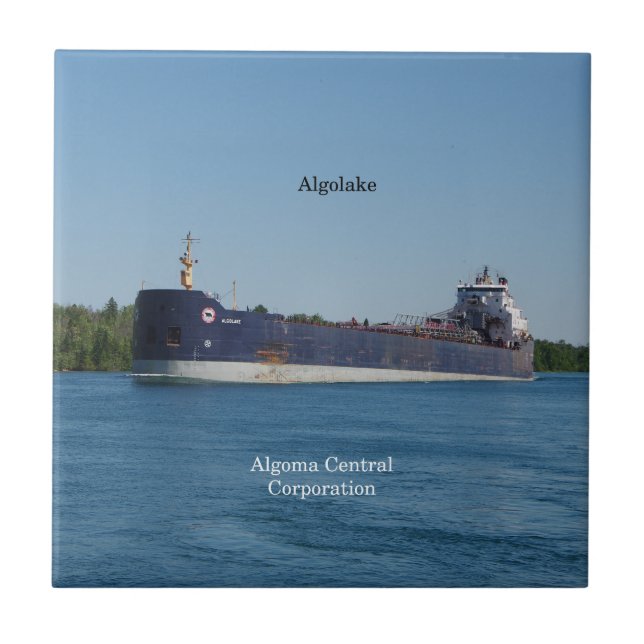 Algolake-bricka Kakelplatta (Framsidan)