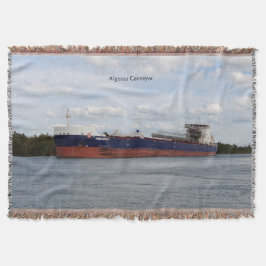 Algoma Conveyor throw filt