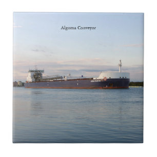 Algoma Conveyor tile Kakelplatta