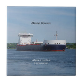 Algoma Equinox tile Kakelplatta
