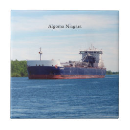 Algoma Niagara tile Kakelplatta