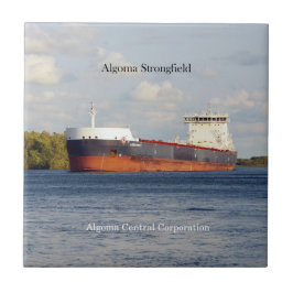Algoma Strongfield tile Kakelplatta