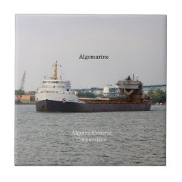Algomarinbricka Kakelplatta