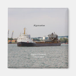 Algomarinmagnet Magnet