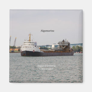Algomarinmagnet Magnet