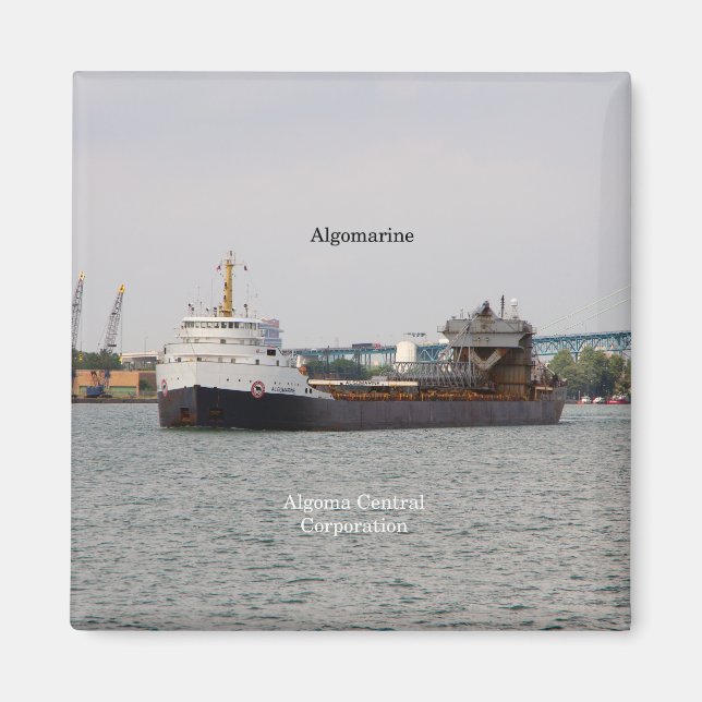 Algomarinmagnet Magnet (Framsidan)