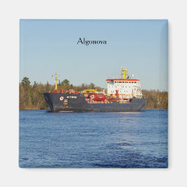 Algonova magnet