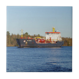 Algonova-panel Kakelplatta