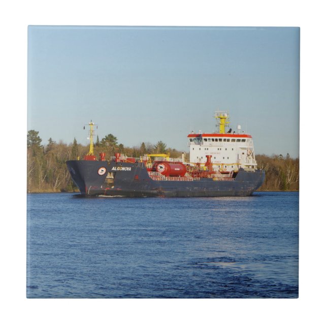 Algonova-panel Kakelplatta (Framsidan)