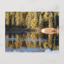 Algonquin liggande vykort