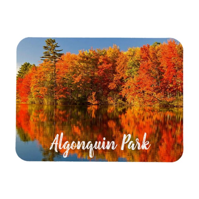 Algonquin Park Canada Fall stilized Magnet (Horisontell)