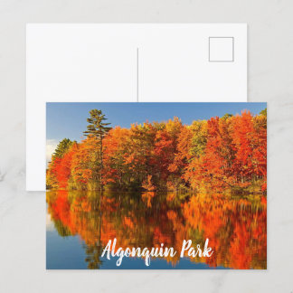 Algonquin Park Canada Fall stilized Vykort