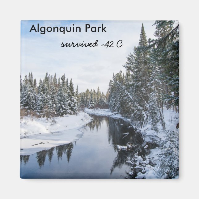 Algonquin Park Magnet (Framsidan)