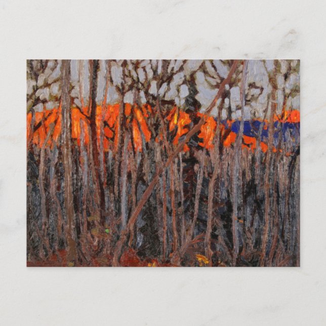 Algonquin Park Vykort (Framsida)