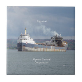 Algostålplattor Kakelplatta