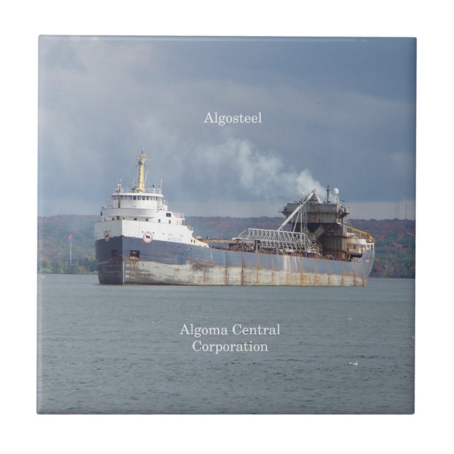 Algostålplattor Kakelplatta (Framsidan)