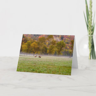 Älgpar Greeting Card Kort