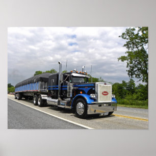 ÄlgPeterbilt 359 affisch