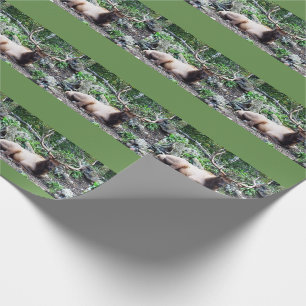 Älgsjal Presentpapper