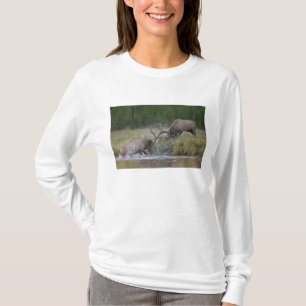Älgstutar slåss, Yellowstone NP, Wyoming T Shirt