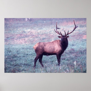 Älgtryck utan gränser poster
