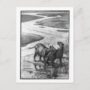 Alice B. Skogsbruk: Hyracotherium art vycard Vykort