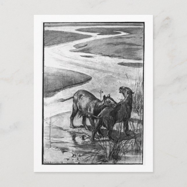 Alice B. Skogsbruk: Hyracotherium art vycard Vykort (Framsida)