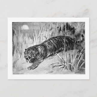 Alice B. Skogsbruk: Machaerdus art pocard Vykort