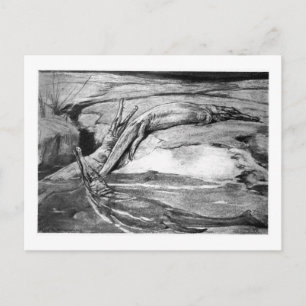 Alice B. Skogsbruk: Metriorhynchus art vycard Vykort