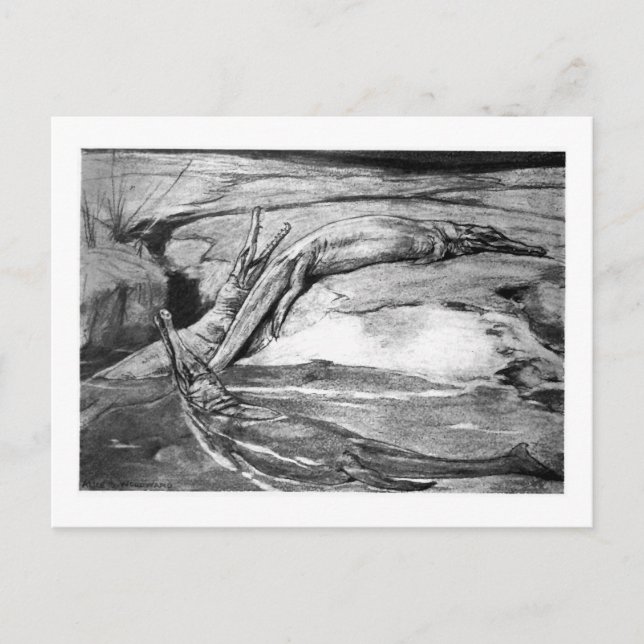 Alice B. Skogsbruk: Metriorhynchus art vycard Vykort (Framsida)