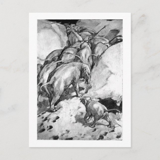 Alice B. Skogsbruk: Moeritherium art-vykort Vykort (Framsida)