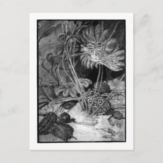 Alice B. Skogsbruk: Ordovician Marine art vykort