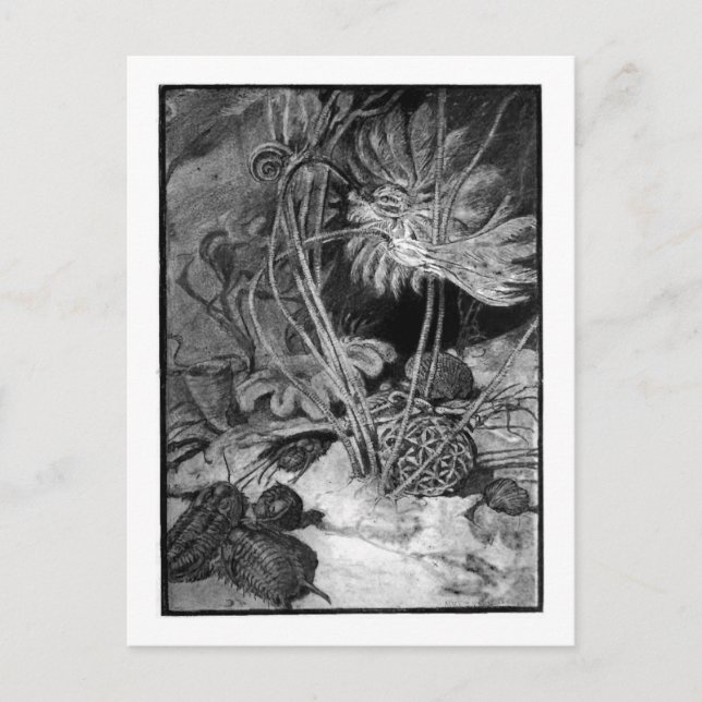 Alice B. Skogsbruk: Ordovician Marine art vykort (Framsida)