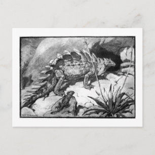 Alice B. Skogsbruk: Stegosaurus konst vykort