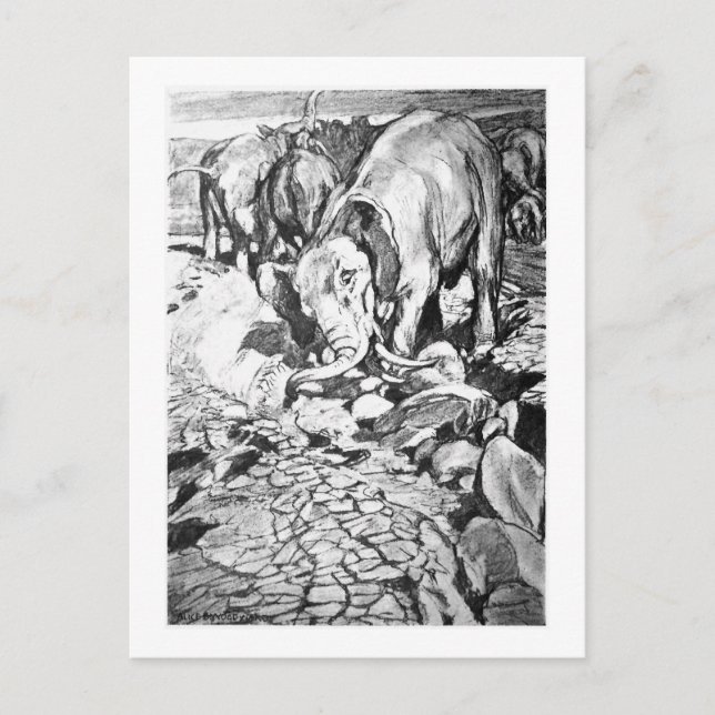 Alice B. Skogsbruk: vykort för dinotherium-konst (Framsida)