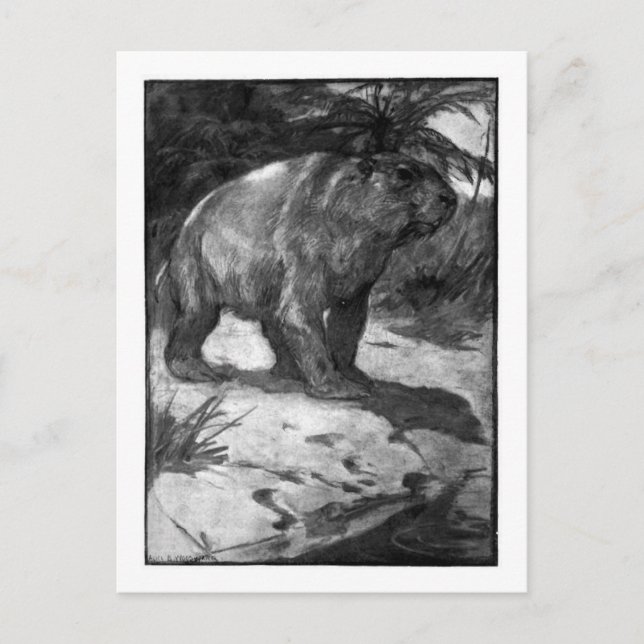 Alice B. Woodward: Diprotodon art vycard Vykort (Framsida)