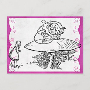 Alice & CaterPelars vykort
