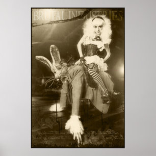 Alice i brutalt land poster